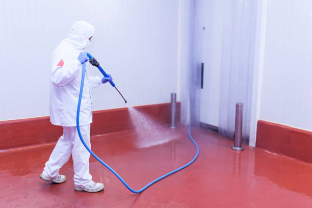 Pre-Holiday Cleaning in Falls Church, VA